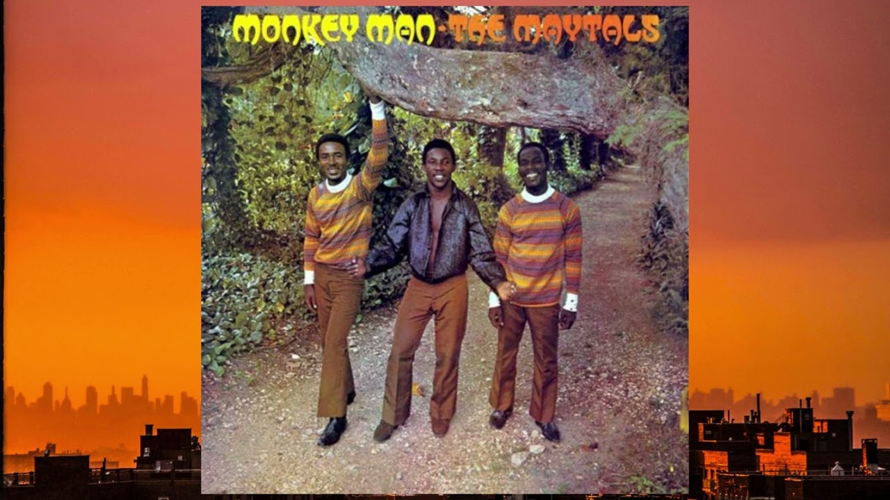 THE MAYTALS - Monkey Man (LP) | Music On Vinyl (Sello discográfico)