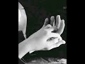 تتر مسلسل ختم النمر الاغنيه كامله تتر مسلسل ختم النمر الاغنيه كامله