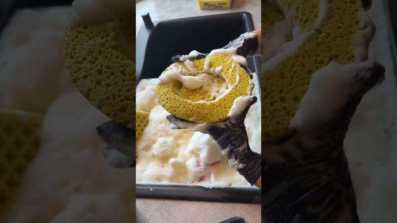 Pine bucket starter 11/10 live 