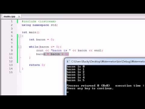 Buckys C++ Programming Tutorials - 18 - while Loops