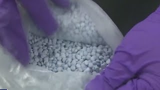 Dealers in fentanyl bust used social media to distribute: police | FOX 7 Austin