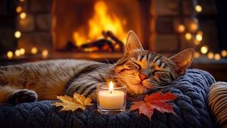 12 Hours Cat Music 🐾 Calm Music For Cats - Soft Instrumental Sounds For Cats Peaceful Rest screenshot 5