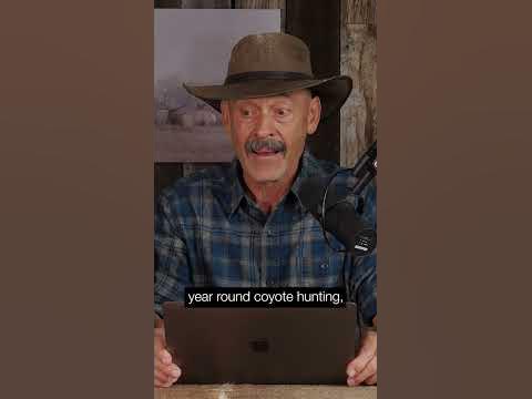 Coyote Hunting All Year? - YouTube