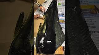 How Did Japanese Fishermen Record Catches Before Cameras?