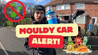Watch Us Get Rid OF Dangerous Mould Out Of This Car!