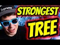 Top 5 strongest tree in 2024