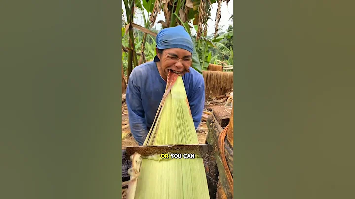 This is How to Make Banana Sheath Fiber