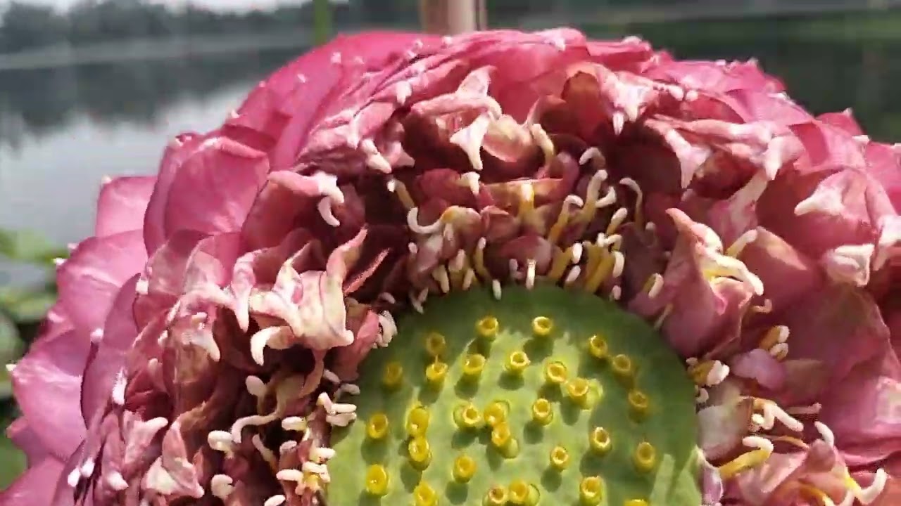 d9 d9 d9 d9 d9 d9 d9 .............d9