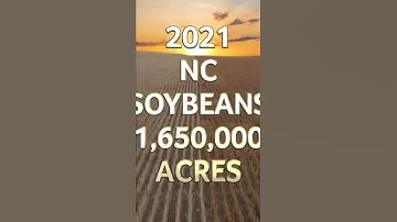 1,650,000 acres of #soybeans #shorts