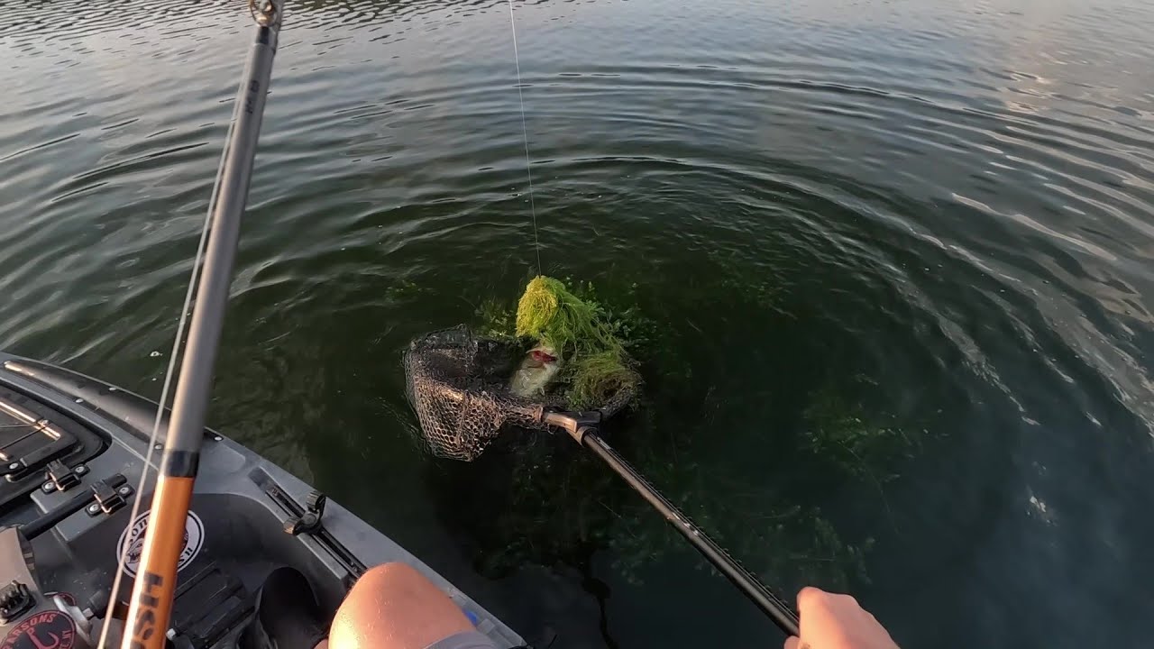 LABOR DAY Bass Fishing