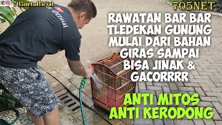 CARA MEMBUAT TLEDEKAN GUNUNG BAHAN CEPAT JINAK & GACORRR