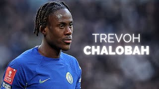 Trevoh Chalobah - Season Highlights 2024