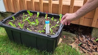 DIY Wicking Container/Pot Water Level Indicator