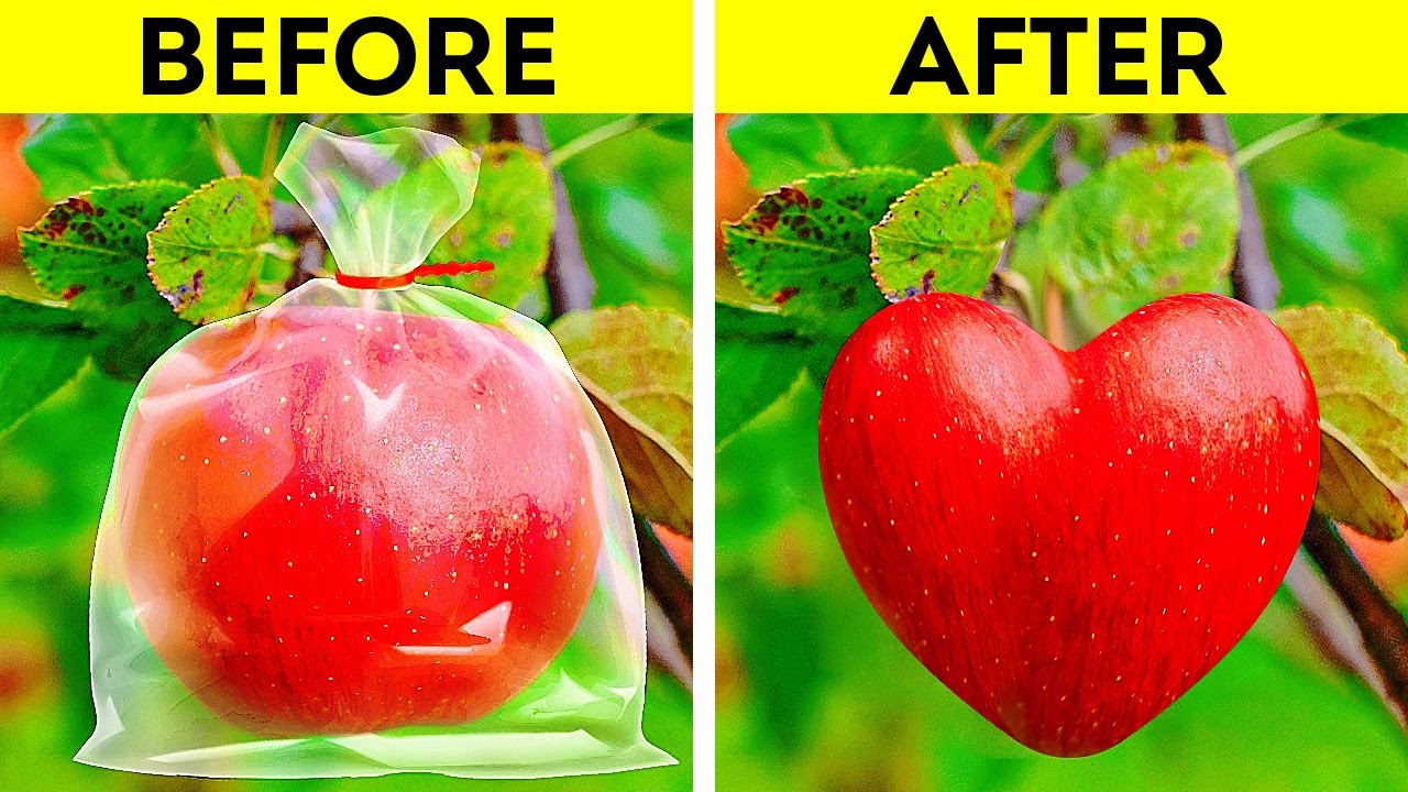 Awesome Plant Growing Hacks YouTube