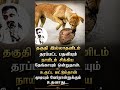 இது இப்போ தமிழ் நாட்டின் நிலை....#TVKFails #NaamTamilar #seeman #NTK