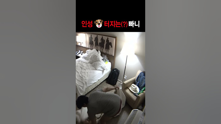 인성 🐶터지는(?) 빠니