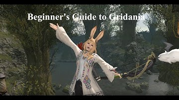 FFXIV Beginner