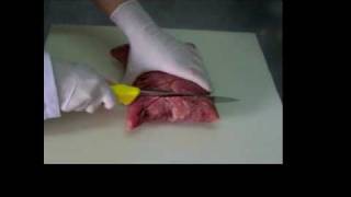 Probind Gt Ternera Transglutaminasa