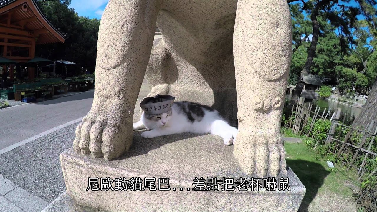 15 大阪 令人熱血沸騰的岸和田だんじり祭 幸福生活菲尼莫屬 隨意窩xuite日誌