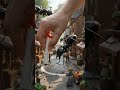🐜 Giant ants invaded the tiny town... but one chalk line changed everything! 😱🖐️
