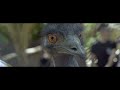 End of video