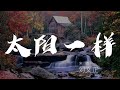 太陽一樣 劉文正 我要捉住那紅紅的太陽 動態歌詞Lyrics 太陽一樣 劉文正 我要捉住那紅紅的太陽 動態歌詞Lyrics