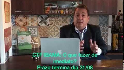 CTF IBAMA: O que fazer de imediato?