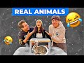 What’s in the BOX Challenge with Real ANIMALS | Rimorav Vlogs