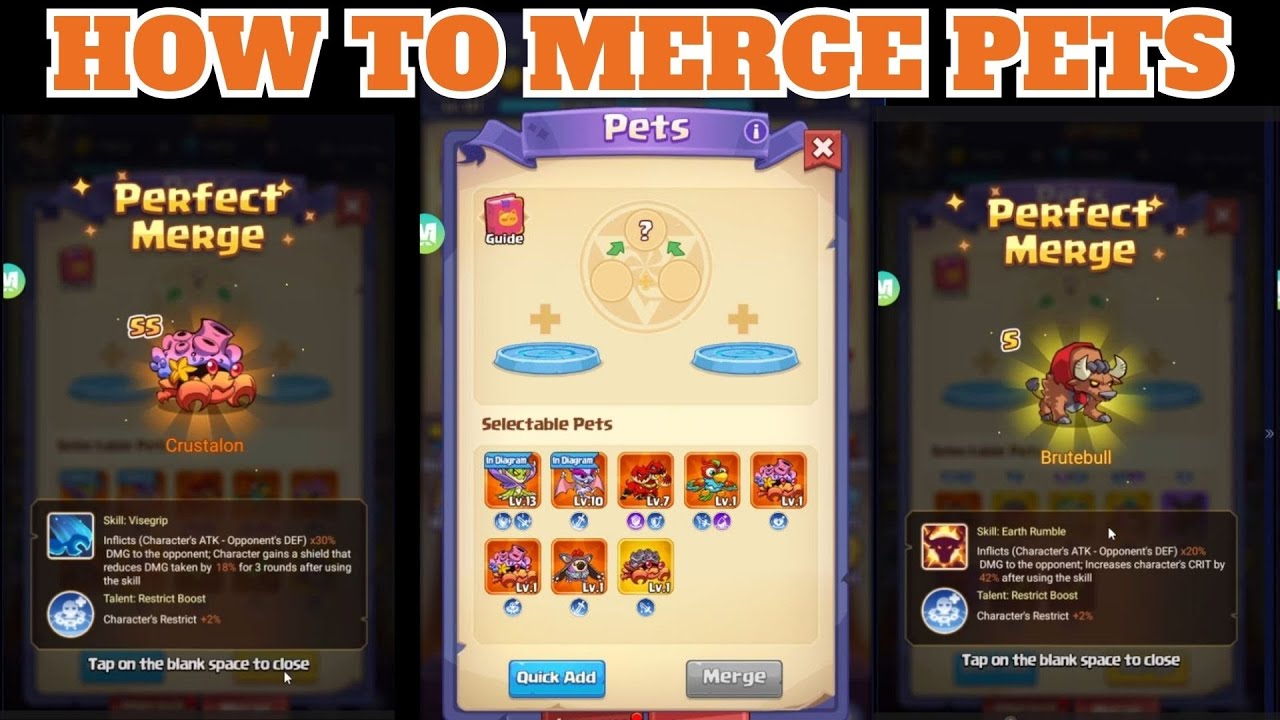 Rage Mage How to merge Pets Pet System Part 3 YouTube
