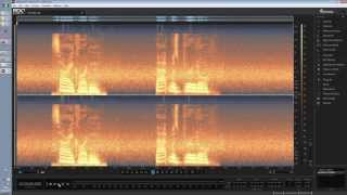 Diyalog Araları Nasıl Ortam Sesiyle Doldurulur | RX4