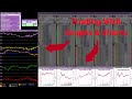 Betfair Trading Graphs - Caan Berry