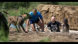 Ez A Hard Dog Race - Official Hdr Video