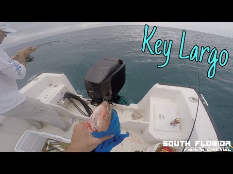 Taking a Subscriber Patch Reef Fishing | Key Largo Catch N Cook