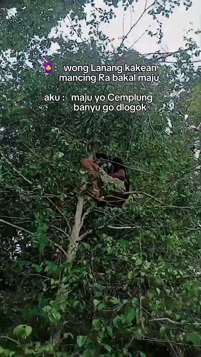 gok dlogok#mancing #mamcingliar #sʜᴏʀᴛ