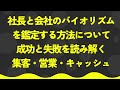 法人と社長の成功する時期・失敗する時期：成功するパターンと失敗するパターンは決まっている【潜在意識・スピリチュアル・開運】