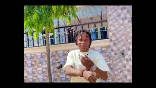 Bad Decision Cover X Magixx #kizzdaniel #music #dancehall #dance #strangerthings #trending #funny