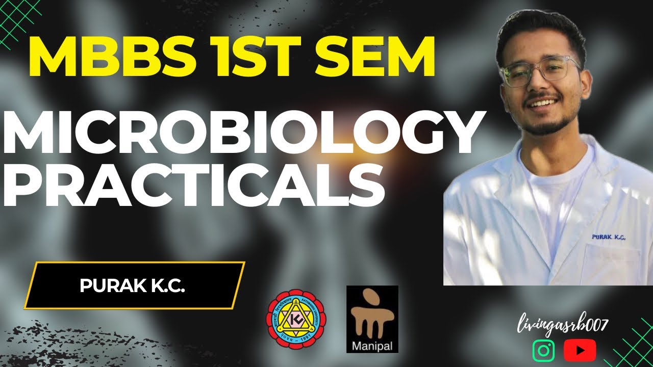 Microbiology Practicals + VIVA Questions YouTube