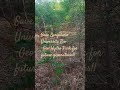Bengaluru University Bio -Geo-Hydro Park fruit garden | Nature #nature