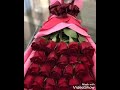 سر السعاده في بيتك
