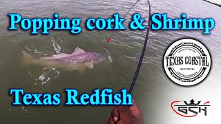 Galveston Bay Redfish using a Popping Cork and Live Shirmp