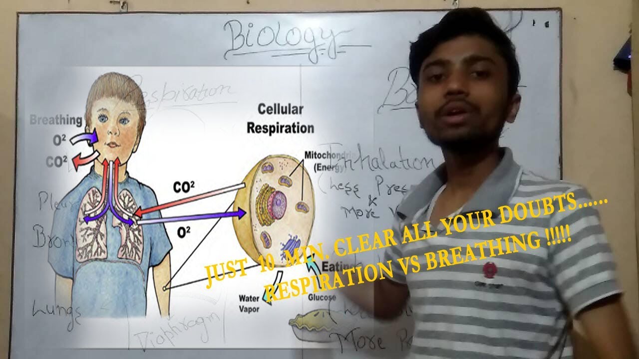 Respiration Vs Breathing !!!