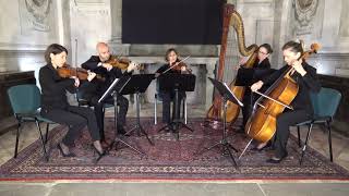 Shallow - Lady Gaga & Bradley Cooper - String Quartet & Harp