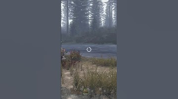 When you think you see a guy in DayZ