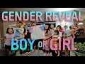 Gender reveal vlog boy or girl