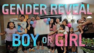 Gender Reveal Vlog (BOY or GIRL)
