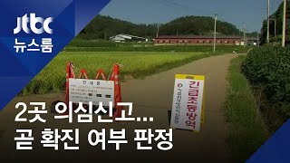'돼지열병 확산하나' 초긴장…'확진 여부' 곧 판정
