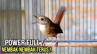 TEST MATERI SRDC KALIAN.!!  ASLI SUARA SRDC FULL POWER NEMBAK, MASTERAN SRDC PANCINGAN SRDC SIKATAN