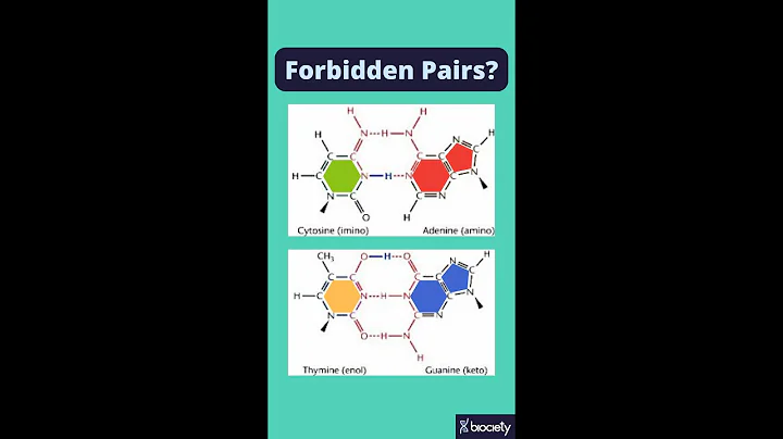 How Quantum Biology Might Explain Spontaneous DNA Mutations