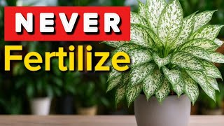 5 Houseplants You Should NEVER Fertilize!