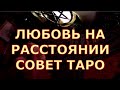 ЛЮБОВЬ НА РАССТОЯНИИ ЧТО ЖДЕТ СОВЕТ ТАРО #таросегодня#егомысли#егочувства#отношения#чтоондумает